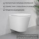 Унитаз подвесной Lauter Longer 2110822 + GROHE Rapid SL 39504000 с кнопкой овальная, хром