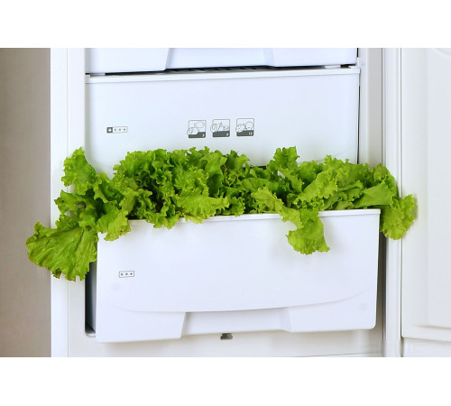 Холодильник POZIS RK-139 белый