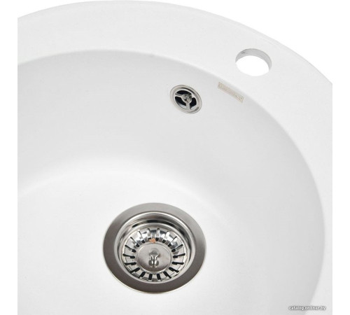 Кухонная мойка Wisent 480-28WR с сифоном GER013