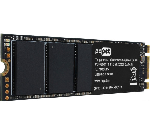 SSD PC Pet 1TB PCPS001T1