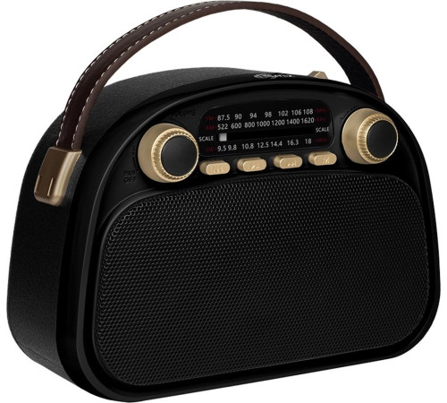 Радиоприемник Ritmix RPR-040 черный