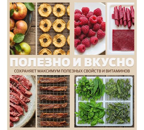 Сушилка для овощей и фруктов Holt HT-FD-003