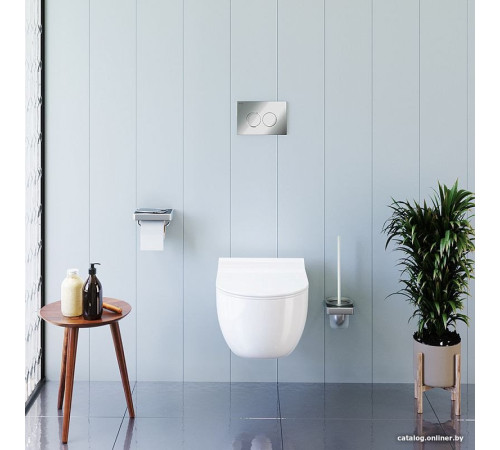 Унитаз подвесной Damixa Scandinavian Pure DX36C1701SC