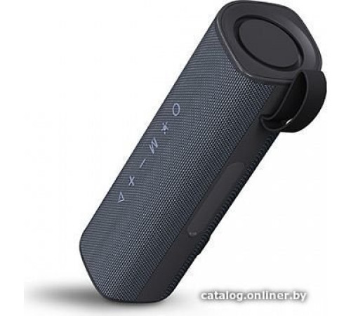 Беспроводная колонка BQ PBS4001 черный