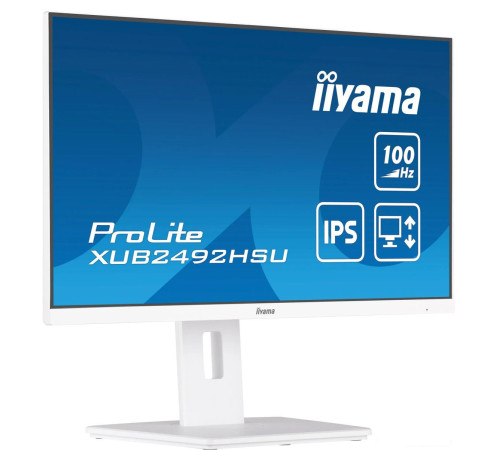 Монитор Iiyama ProLite XUB2492HSU-W6