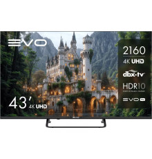 Телевизор Evo TV 43 Black TD0051752RU