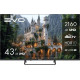 Телевизор Evo TV 43 Black TD0051752RU