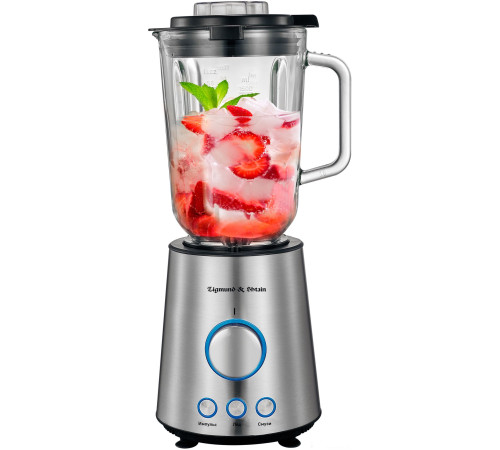 Стационарный блендер Zigmund & Shtain BS-445 D