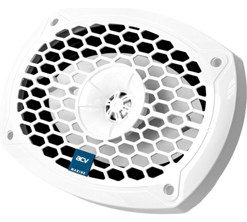 Коаксиальная АС ACV M69W