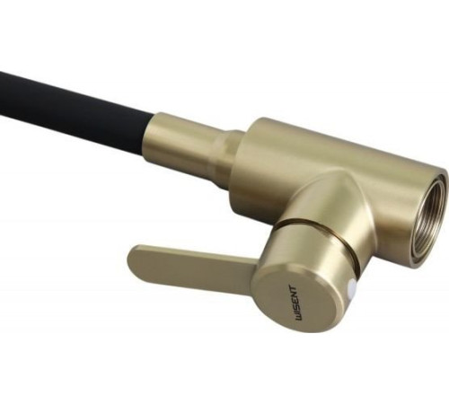 Смеситель Wisent W740333Y-2