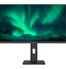 Монитор Raskat I24F10DAP