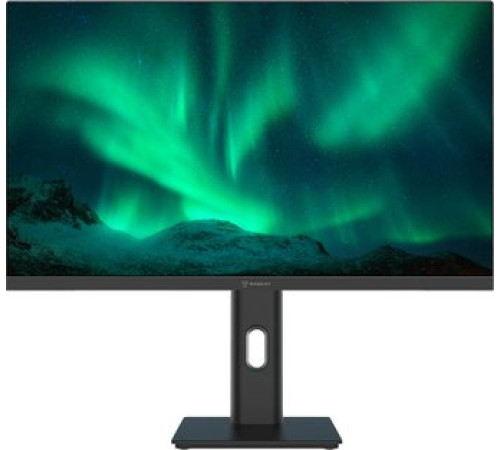 Монитор Raskat I24F10DAP