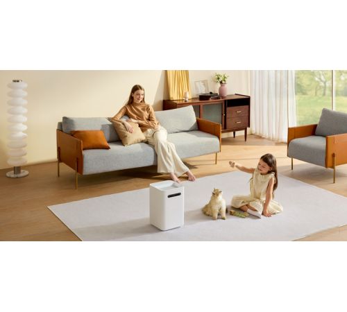 Увлажнитель воздуха SmartMi Evaporative Humidifier 3 CJXJSQ05ZM международная версия