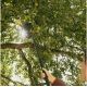 Черенок-рукоятка Fiskars 1080671