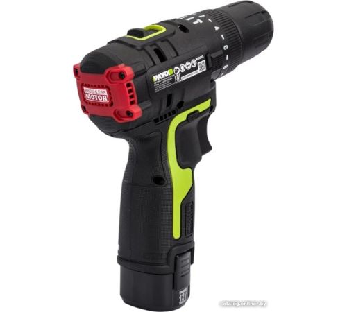 Ударная дрель-шуруповерт Worx Professional WU131X с 2-мя АКБ, сумка