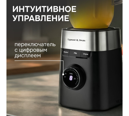 Стационарный блендер Zigmund & Shtain BS?486 D