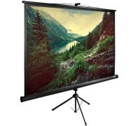 Проекционный экран CACTUS TriExpert 220x220 CS-PSTE-220X220-BK