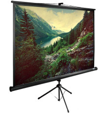 Проекционный экран CACTUS TriExpert 220x220 CS-PSTE-220X220-BK