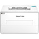Принтер Pantum BP4210DW