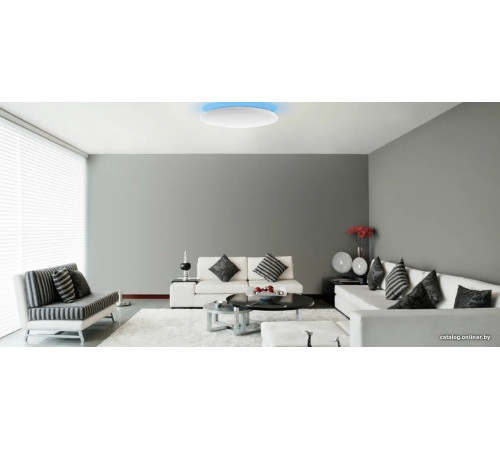 Светильник-тарелка Yeelight Arwen Ceiling Light 450C YLXD013-B