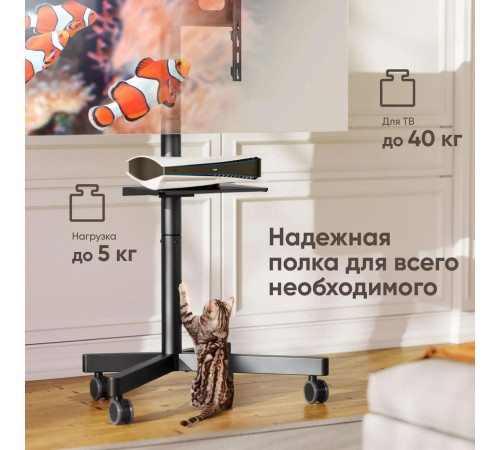 Стойка для телевизора Onkron TS1137 черный