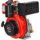 Дизельный двигатель Brait BR300D