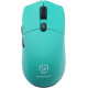Мышь Raskat MG006TR