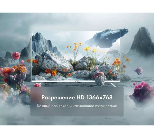Телевизор Evo TV 24 White TD0051748RU