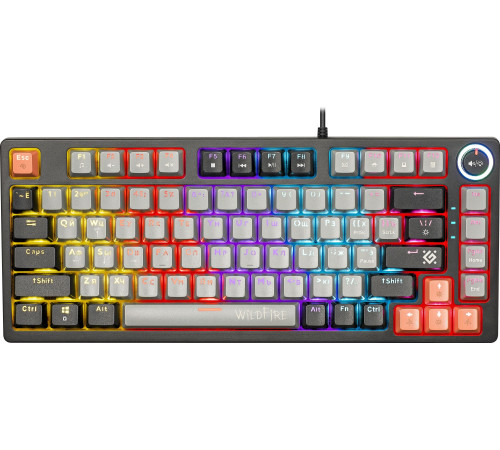 Клавиатура Defender Wildfire GK-213 серый/черный