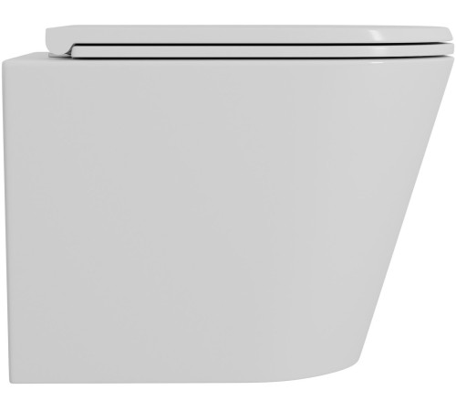 Унитаз подвесной D&K Venice DT1026516 белый, сиденье микролифт