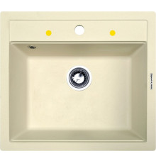 Кухонная мойка Zigmund & Shtain Platz 560 молодое шампанское