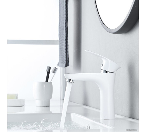 Смеситель Shevanik S9801F