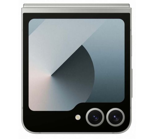 Телефон Samsung Galaxy Z Flip6 SM-F741B 12GB/512GB серый