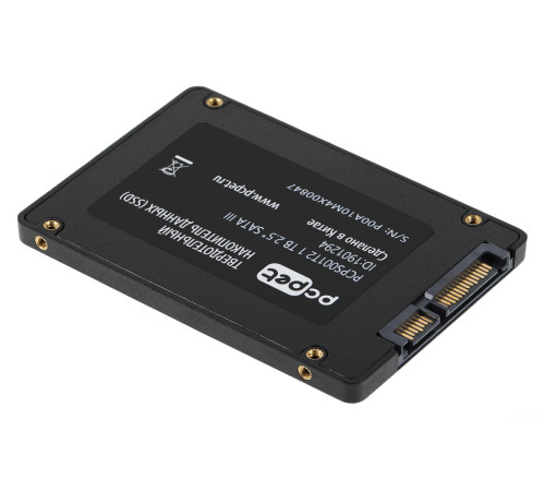 SSD PC Pet 1TB PCPS001T2