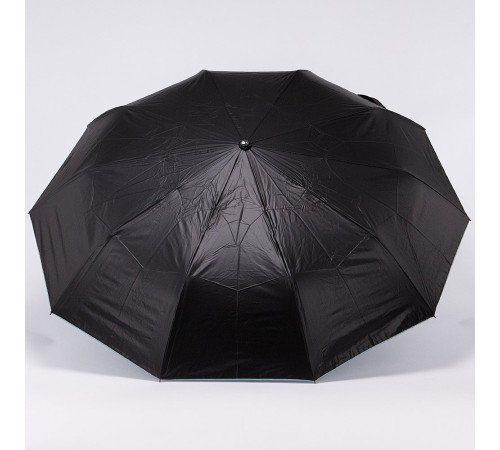 Зонт Rain Berry 734-23335.1 черный/голубой