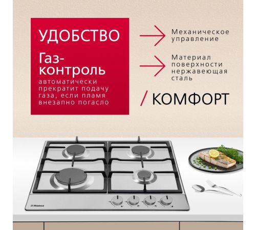 Варочная панель Hansa BHGI610502