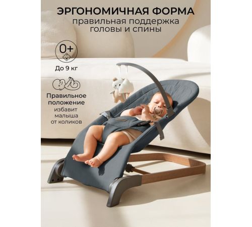 Шезлонг Amarobaby Harmony AB24-25HR/10 графит
