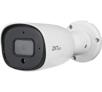 IP-камера ZKTeco BL-854N38S-S7