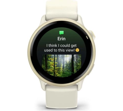 Умные часы Garmin Vivoactive 6 лунное золото