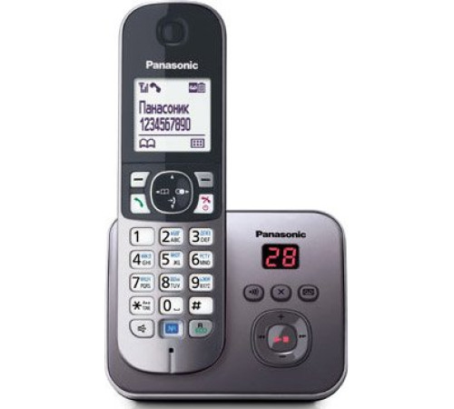 Радиотелефон  Panasonic KX-TG6821RUB