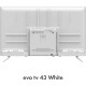 Телевизор Evo TV 43 White TD0051750RU