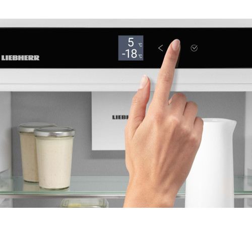 Холодильник Liebherr ICBNSd 5623 Plus BioFresh NoFrost