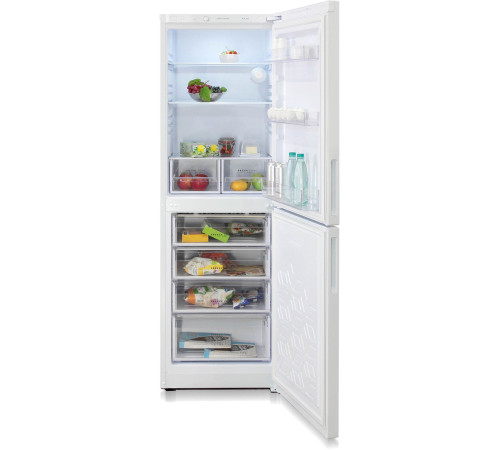 Холодильник Бирюса 6031