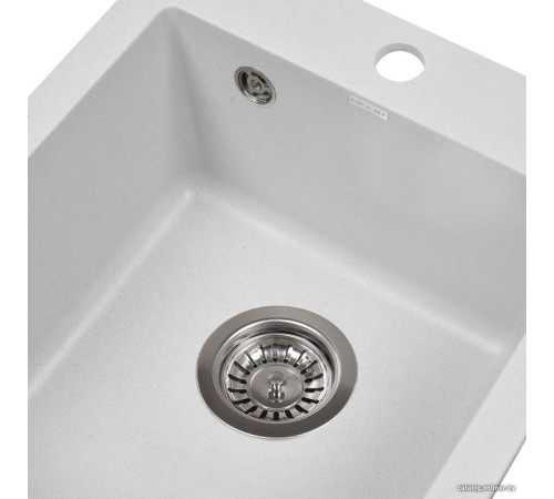 Кухонная мойка Wisent 420-28W с сифоном GER013