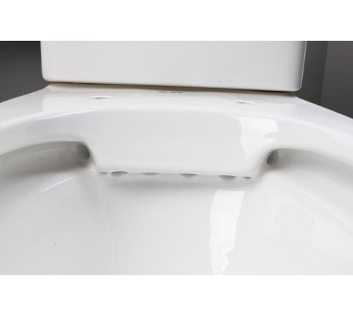 Унитаз напольный AV Engineering Castello AVFTR3207