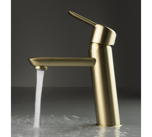 Смеситель Deante Arnika BQA R20M золото