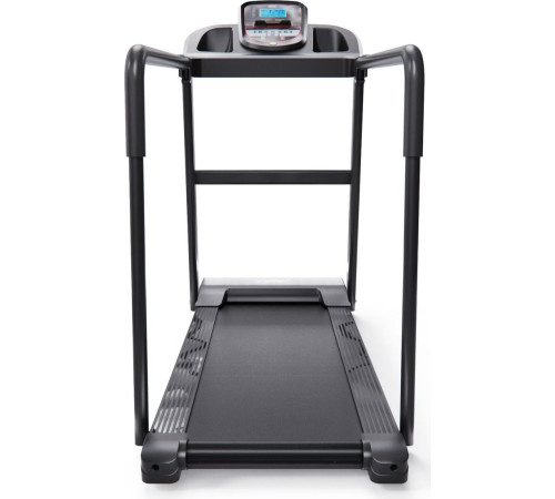 Электрическая беговая дорожка DFC Romy T195