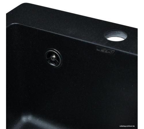 Кухонная мойка Wisent 420-25W с сифоном GER013