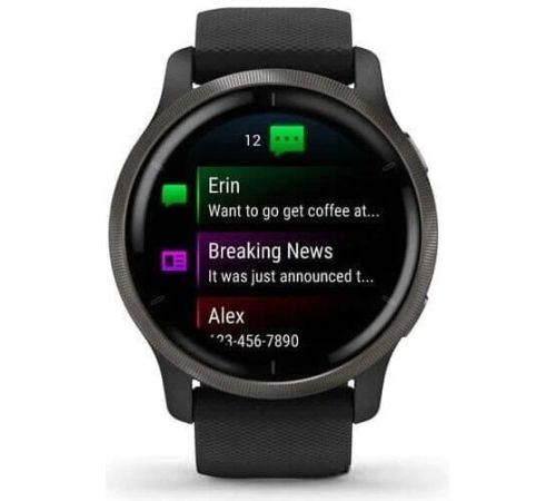 Умные часы Garmin Venu 2 сланцевая нержавеющая сталь/черный
