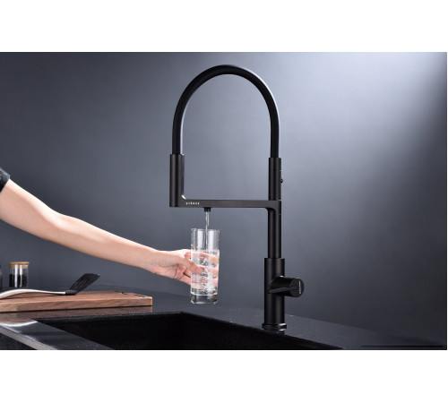 Смеситель Paulmark Tornado TO213402-B вороненая сталь/беретта